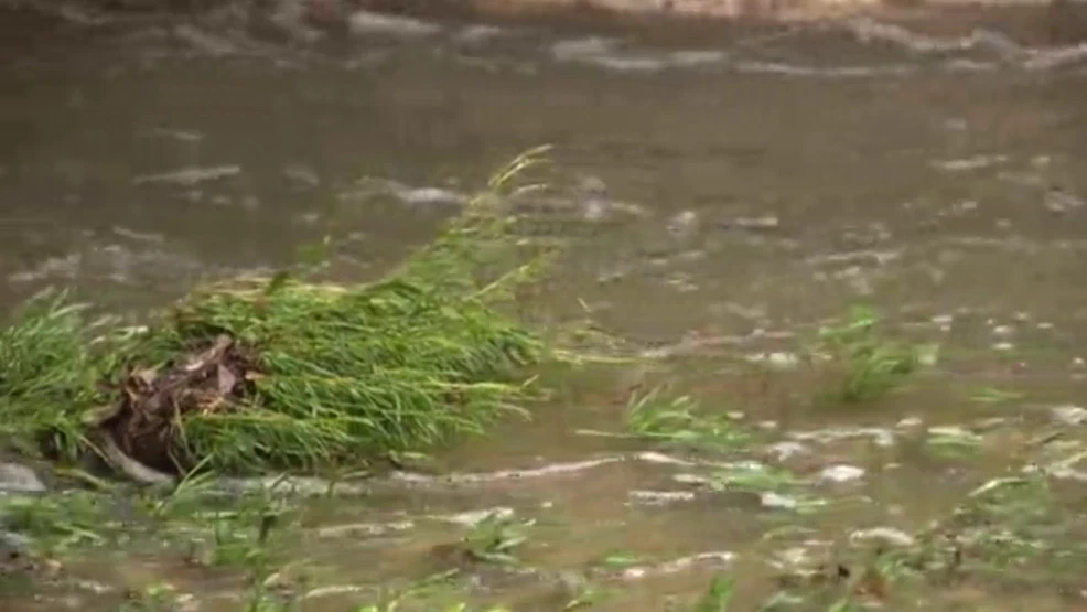 Central Texas urged to prepare as heavy rainfall sits in forecast over next two days