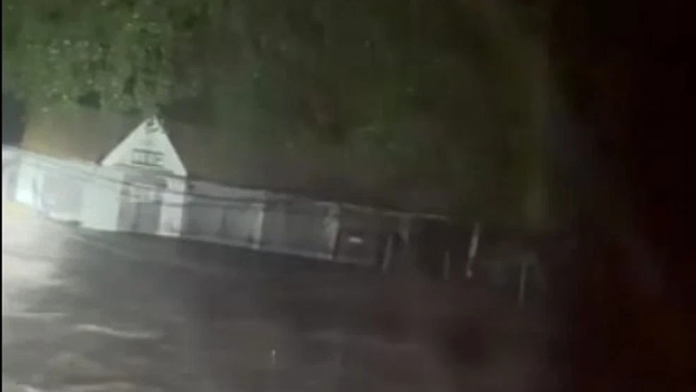 Flooding cuts off Ingram wildlife rescue as owner works alone to save animals
